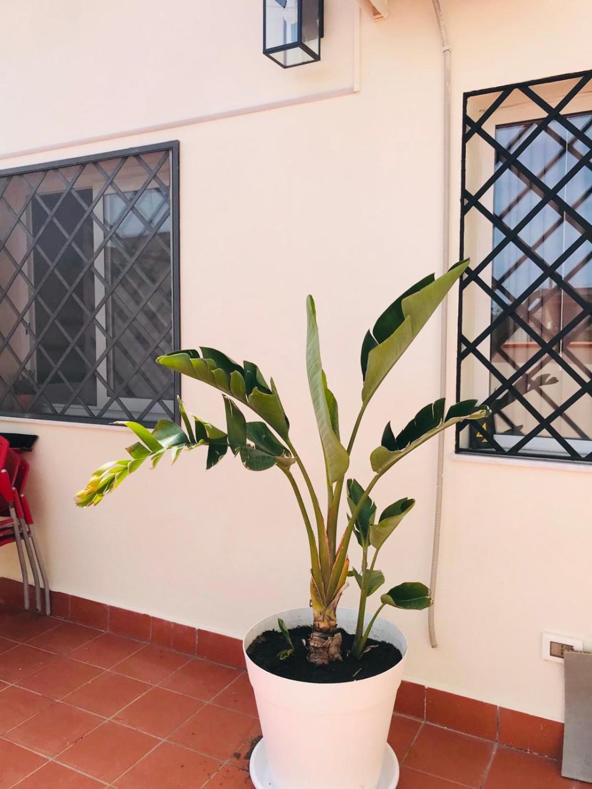 Lavica Di Mezzo Apartments 카타니아 외부 사진