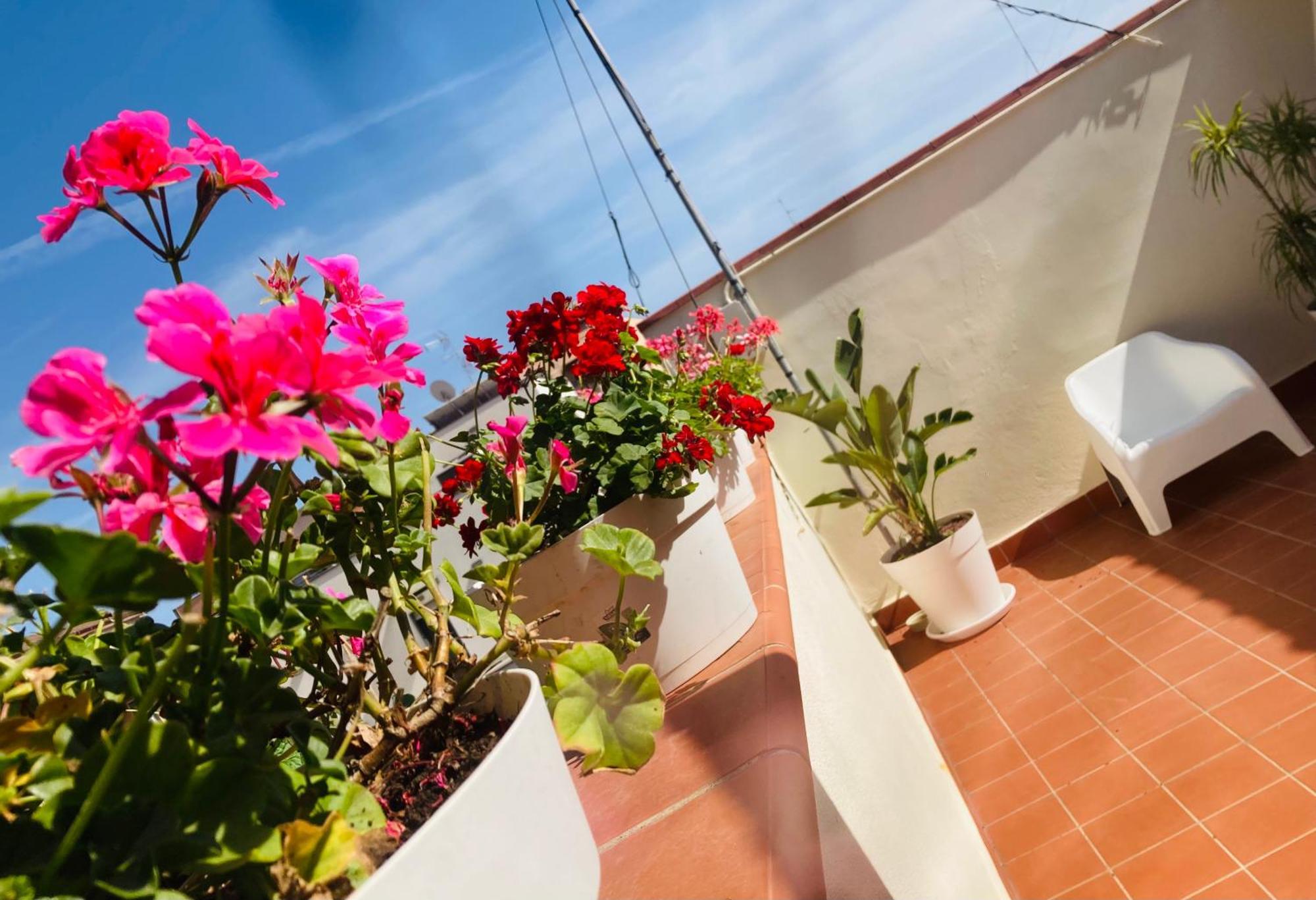 Lavica Di Mezzo Apartments 카타니아 외부 사진